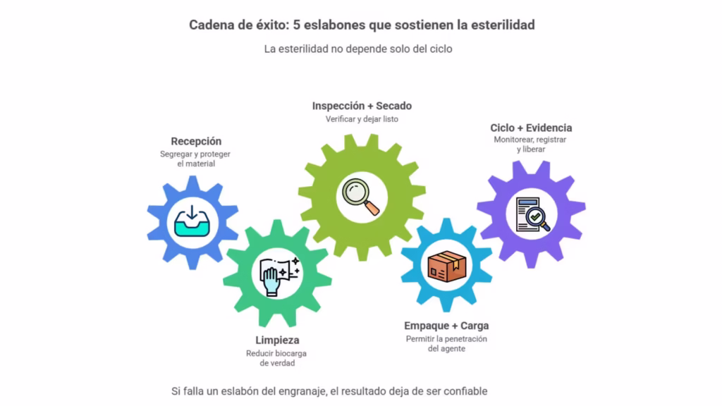 Cadena de cinco eslabones del reprocesamiento: recepción, limpieza, inspección y secado, empaque y carga, ciclo con evidencia.